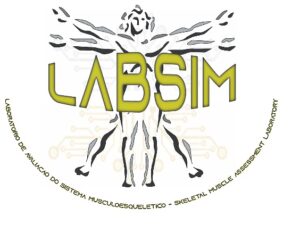 logo_labsim